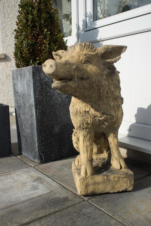 Grove House Bed & Breakfast Carlingford Exterior foto